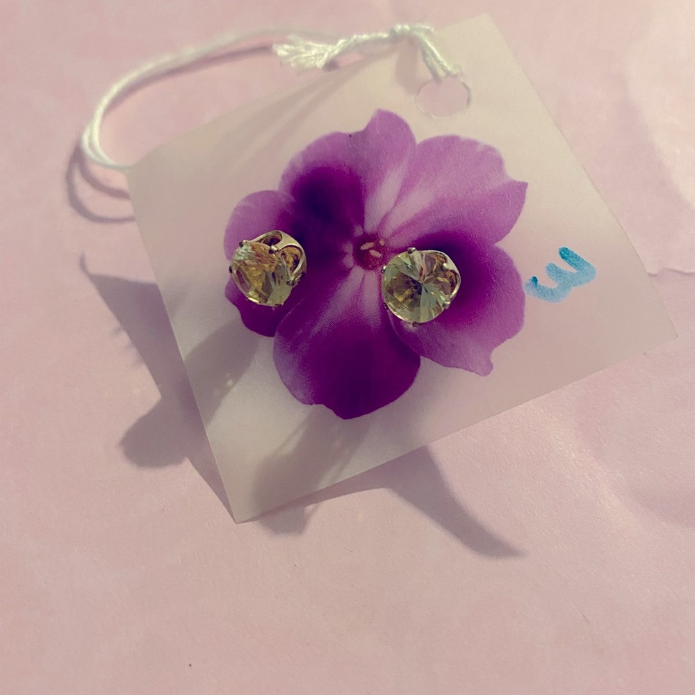 New Purple Stud Earrings